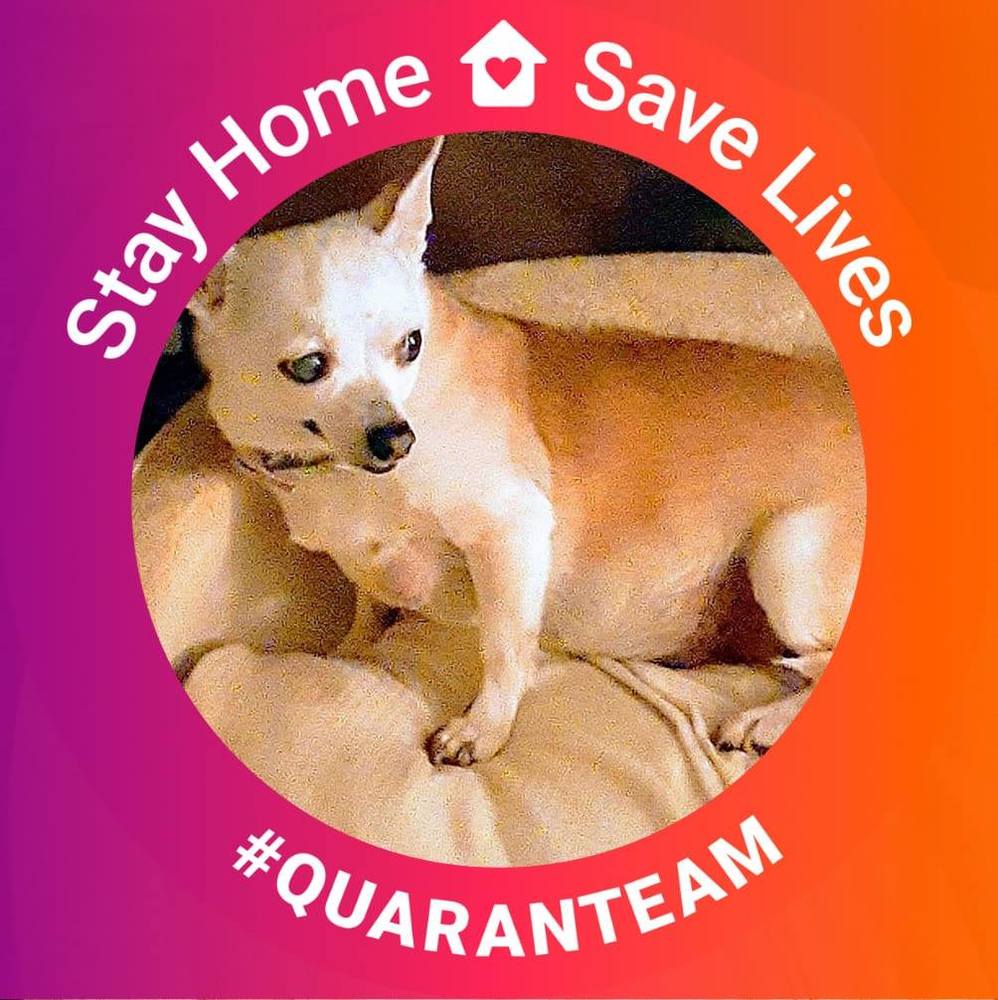 Meet your Posher, Linda